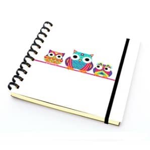 PAKLON TAS DEFTER 14*14 DÜZ BAYKUŞLAR