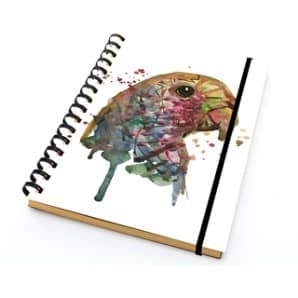 PAKLON TAS DEFTER 14*21 DÜZ-PAPAĞAN