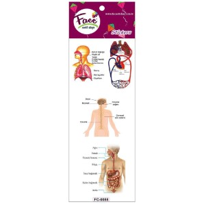 FACE STİCKER FC-0088 20 Lİ