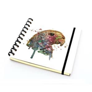 PAKLON TASARIM DEFTER 14*14 ÇİZGİLİ - PAPAĞAN 
