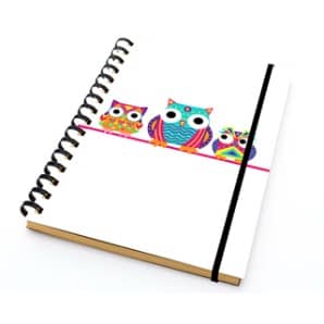 PAKLON TASARIM DEFTER 14*21 SİYAH İÇ -BAYKUŞLAR- 50 YP.